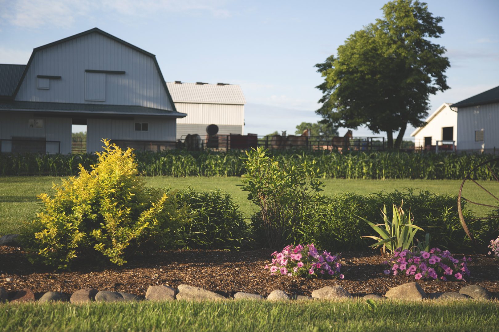 Amish Countryside