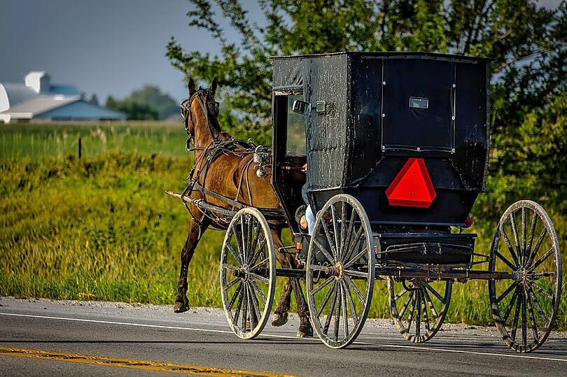 Amish buggy