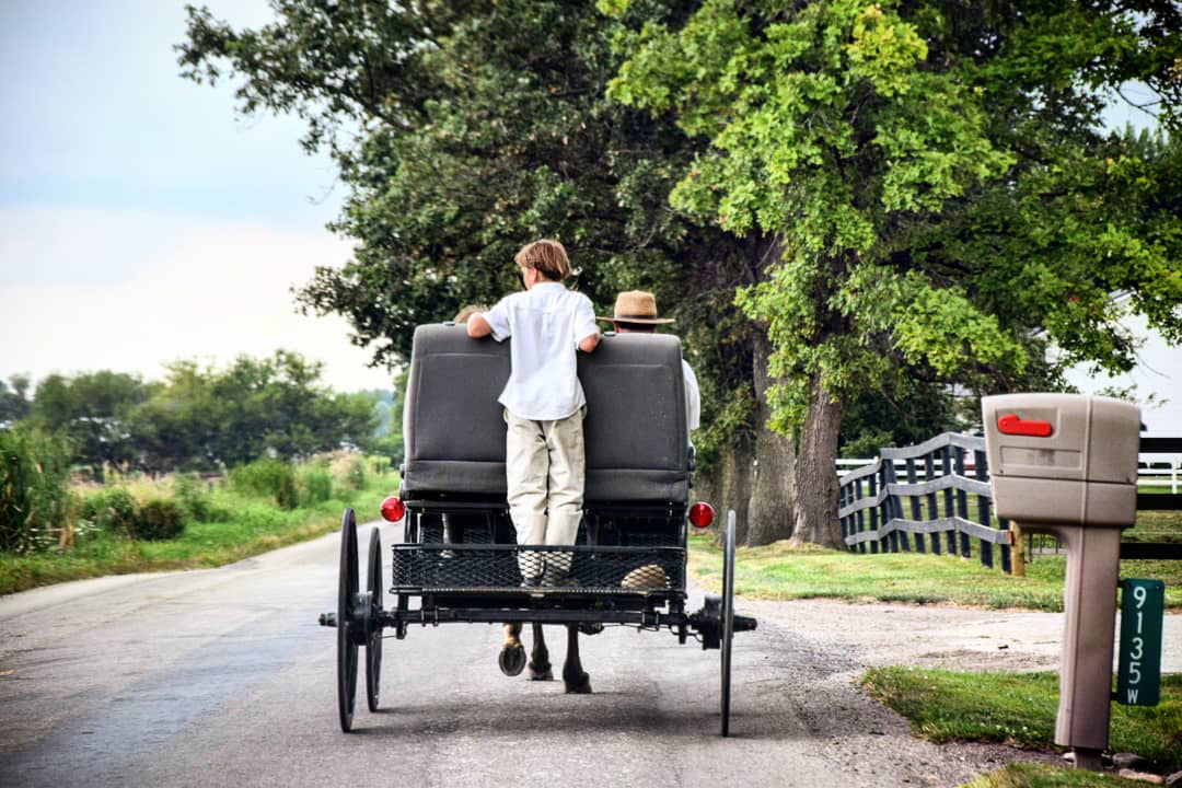 Kid riding on the back of a buggy