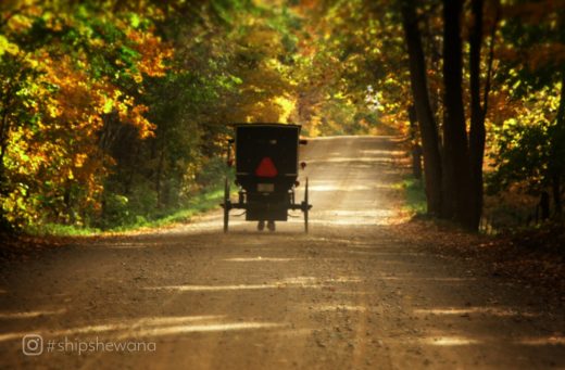 Amish buggy riding on gravel road in woods
