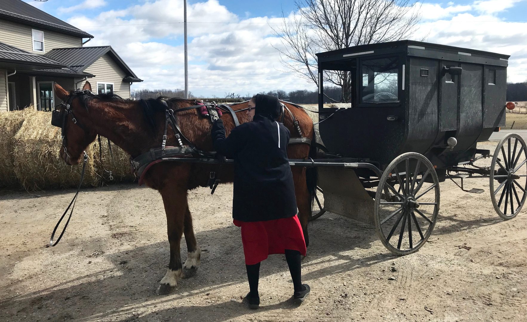 Guided Amish Tours