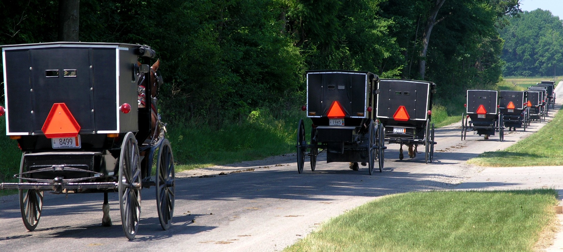 Amish Buggies