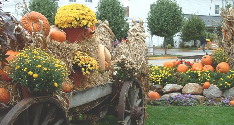A cart filled with hay, pumpkins, and flowers