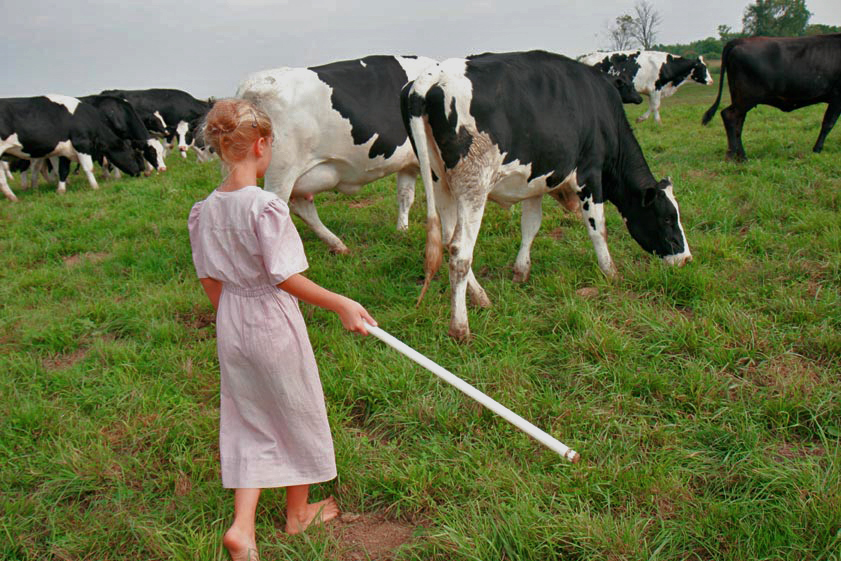 Girl in a field of cows