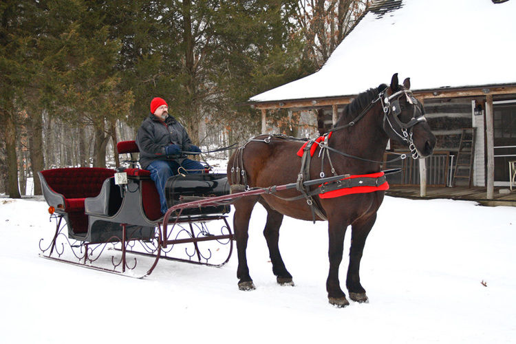 Horse drawn carriage