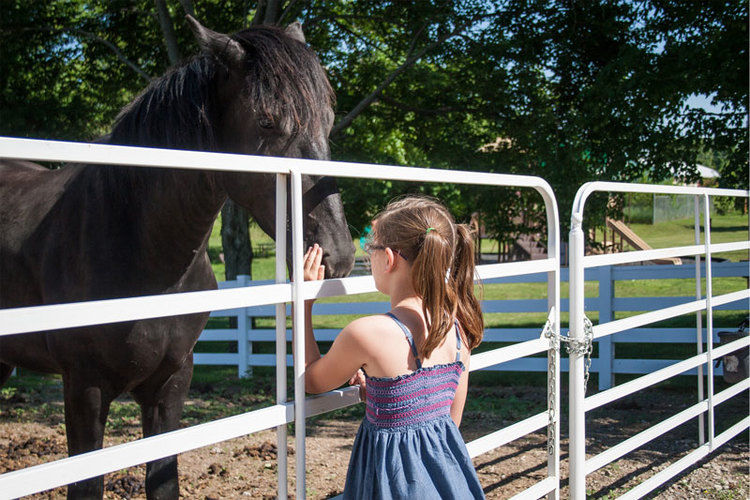 Girl and horse