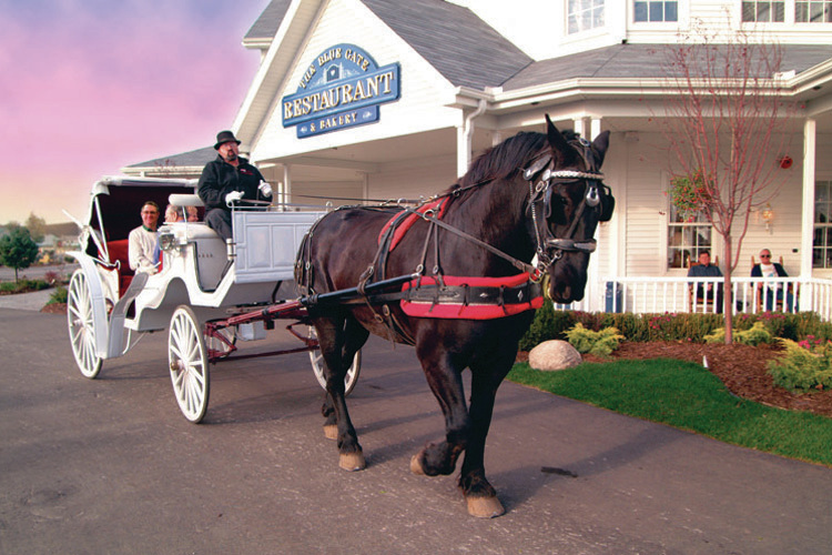 Horse drawn carriage