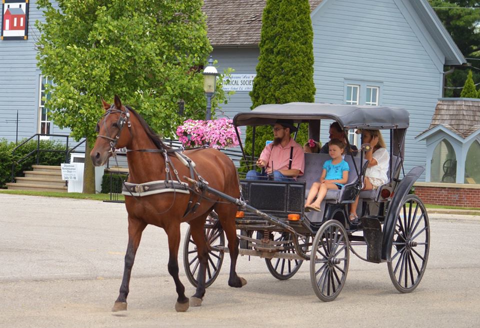 Amish country horse cheap and buggy ride