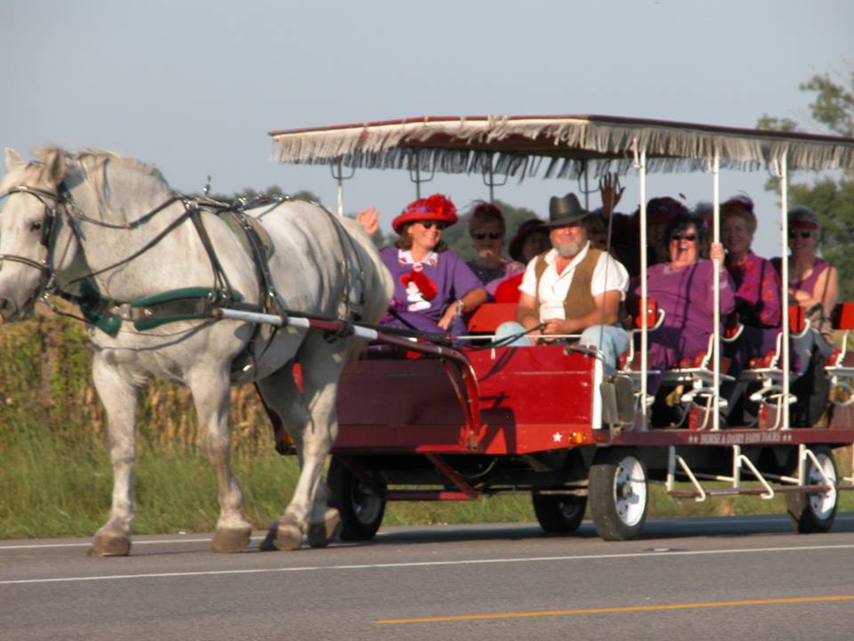 Buggy store lane tours