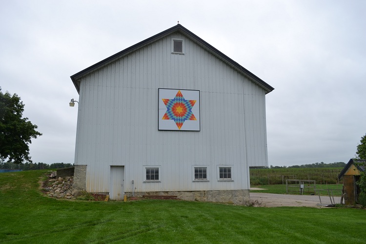 Cook's Bison Ranch