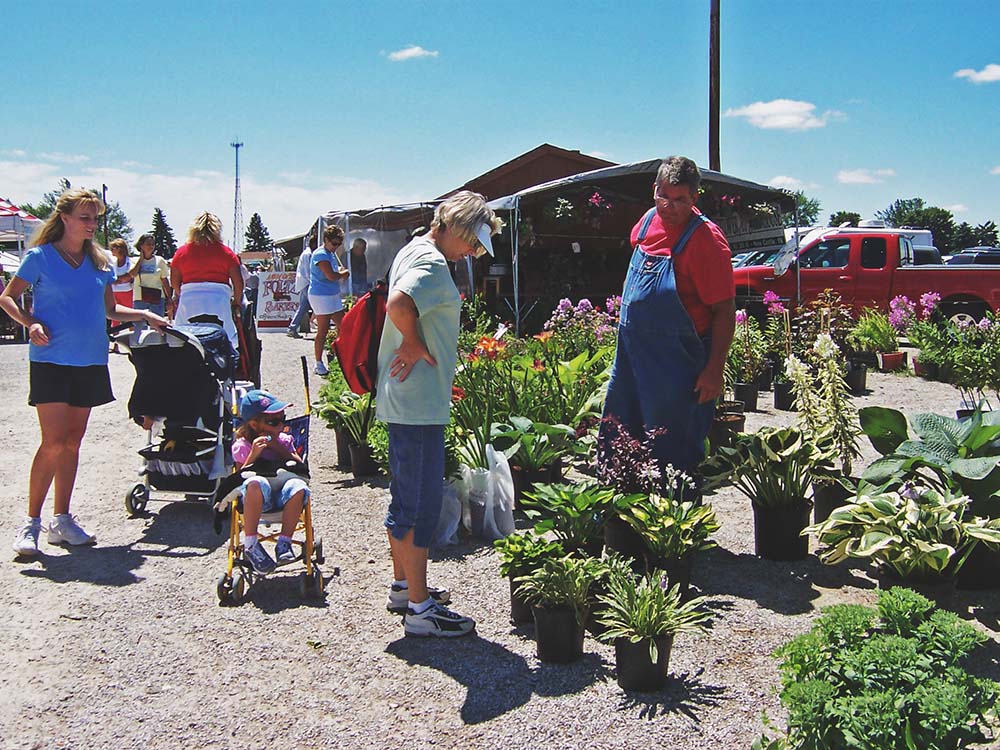 People looking at plants