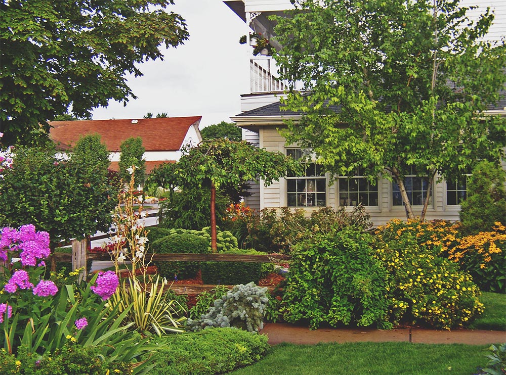 A flower garden by a house