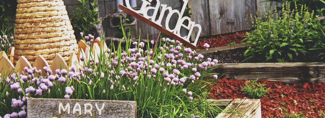 Garden with little purple flowers