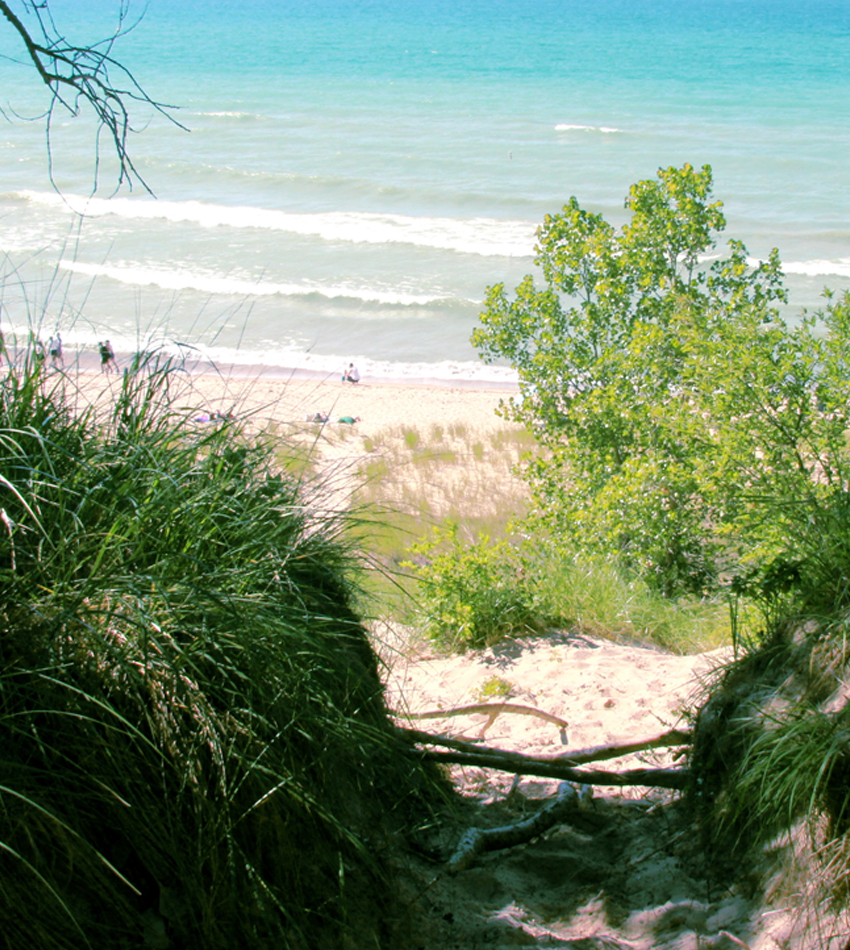 Indiana dunes