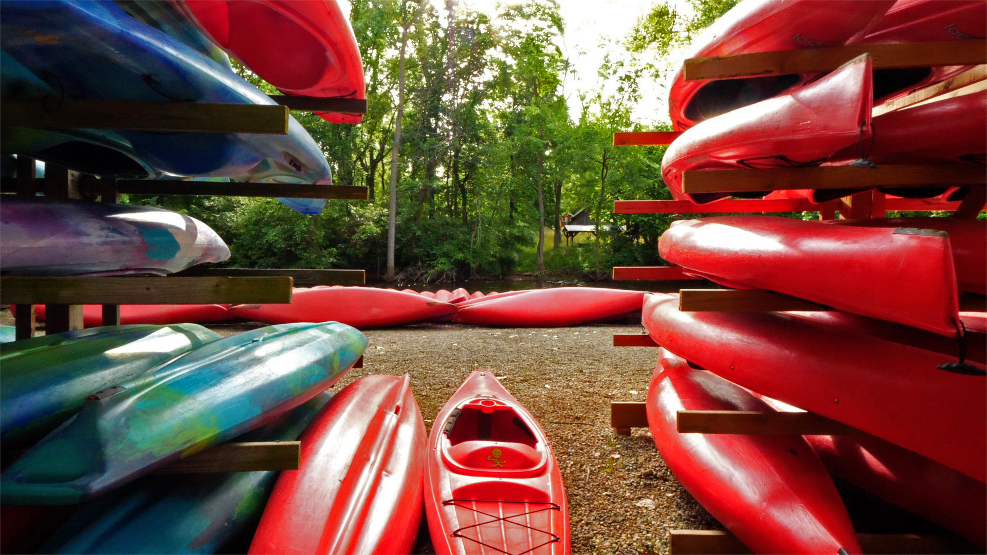 A bunch of kayaks on racks