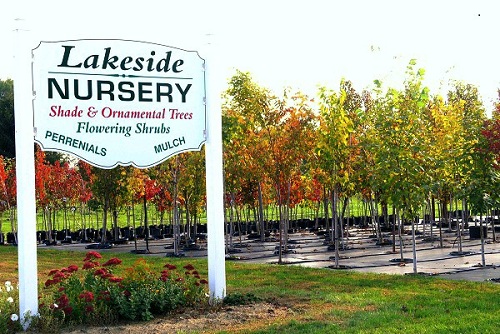 Lakeside Nursery, LLC