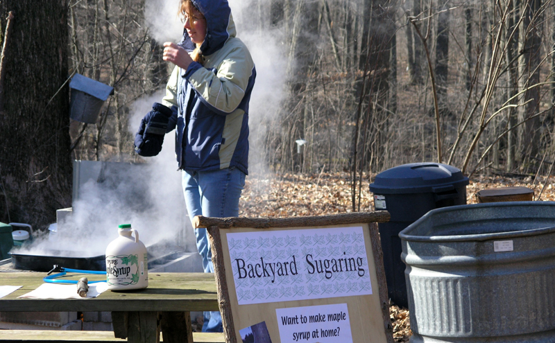 Maple Syrup Days demonstration 1