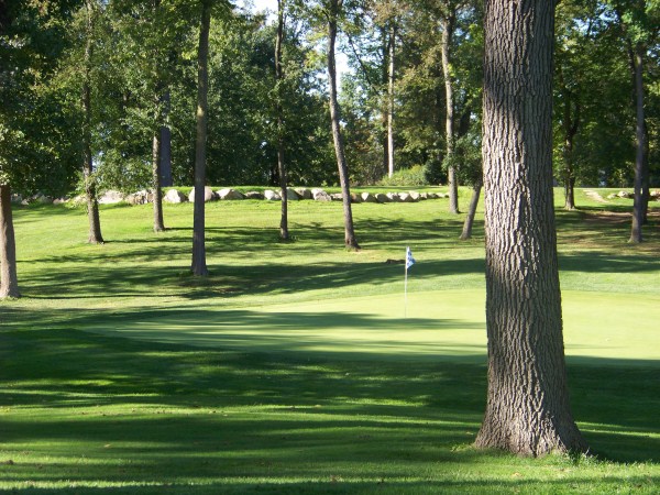 Trees on golf course
