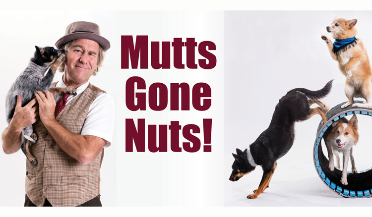 Mutts gone nuts