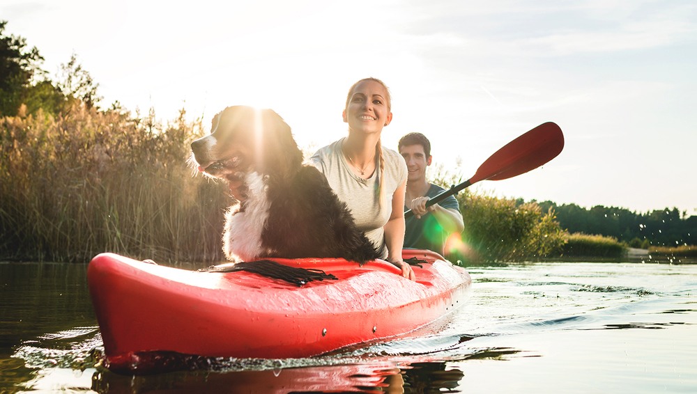 Couple with dog in a kayak