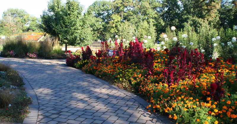 Wellfield Botanic Garden path with flowers