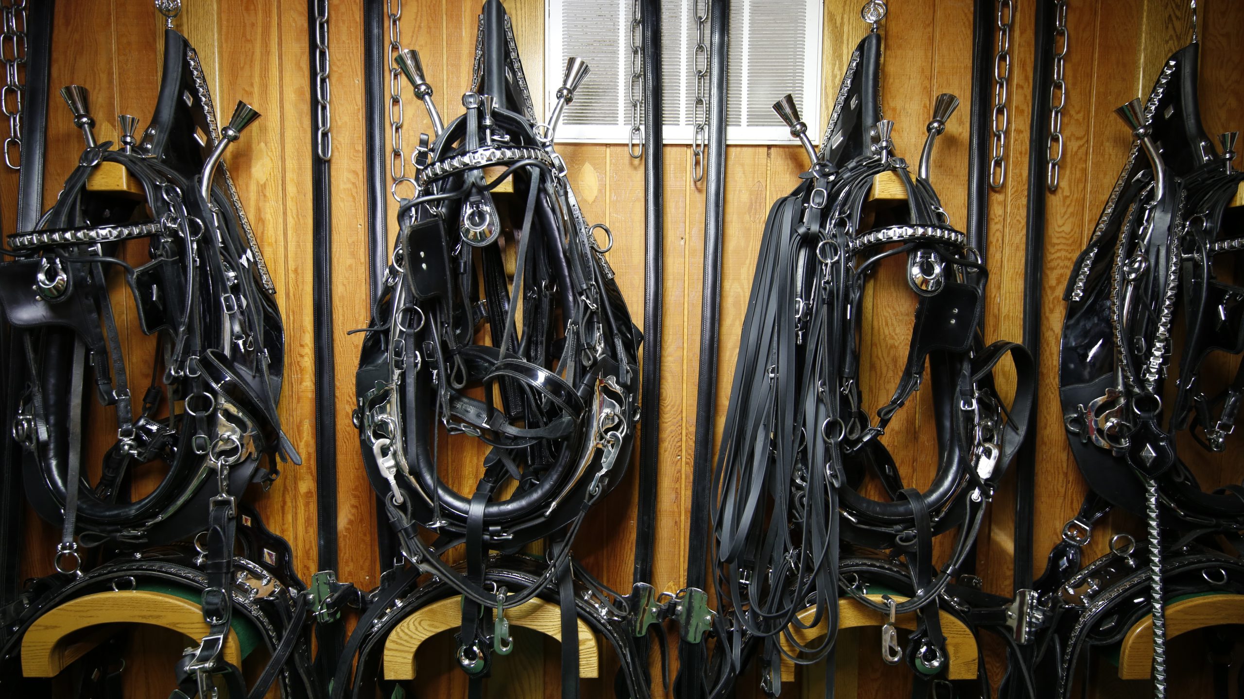 Horse harnesses