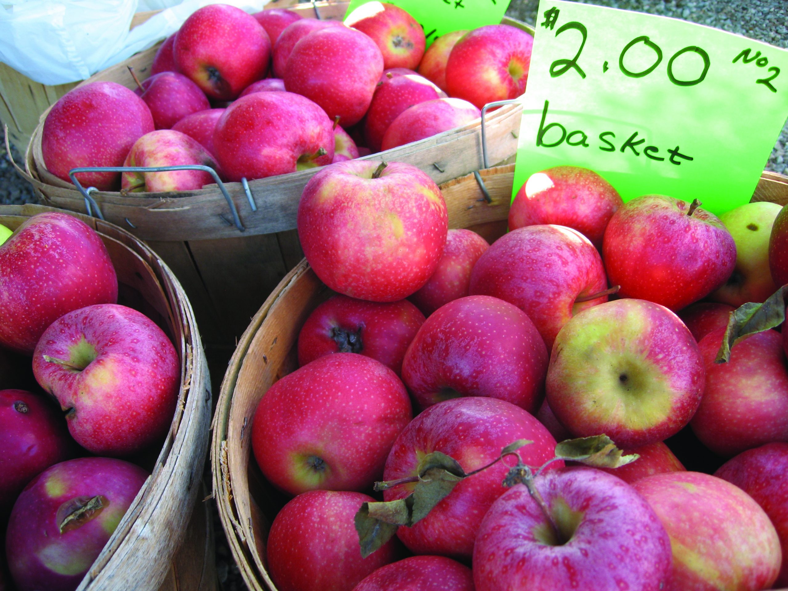 Basket of apples for sale