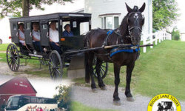 Amish country horse and buggy ride online