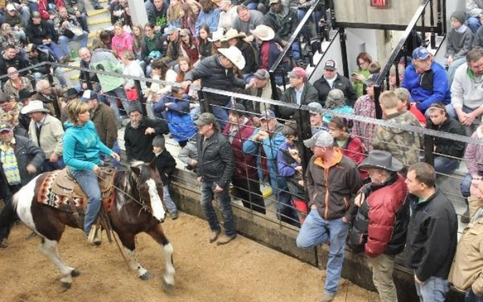 Good Friday Horse Auction April 18, 2025