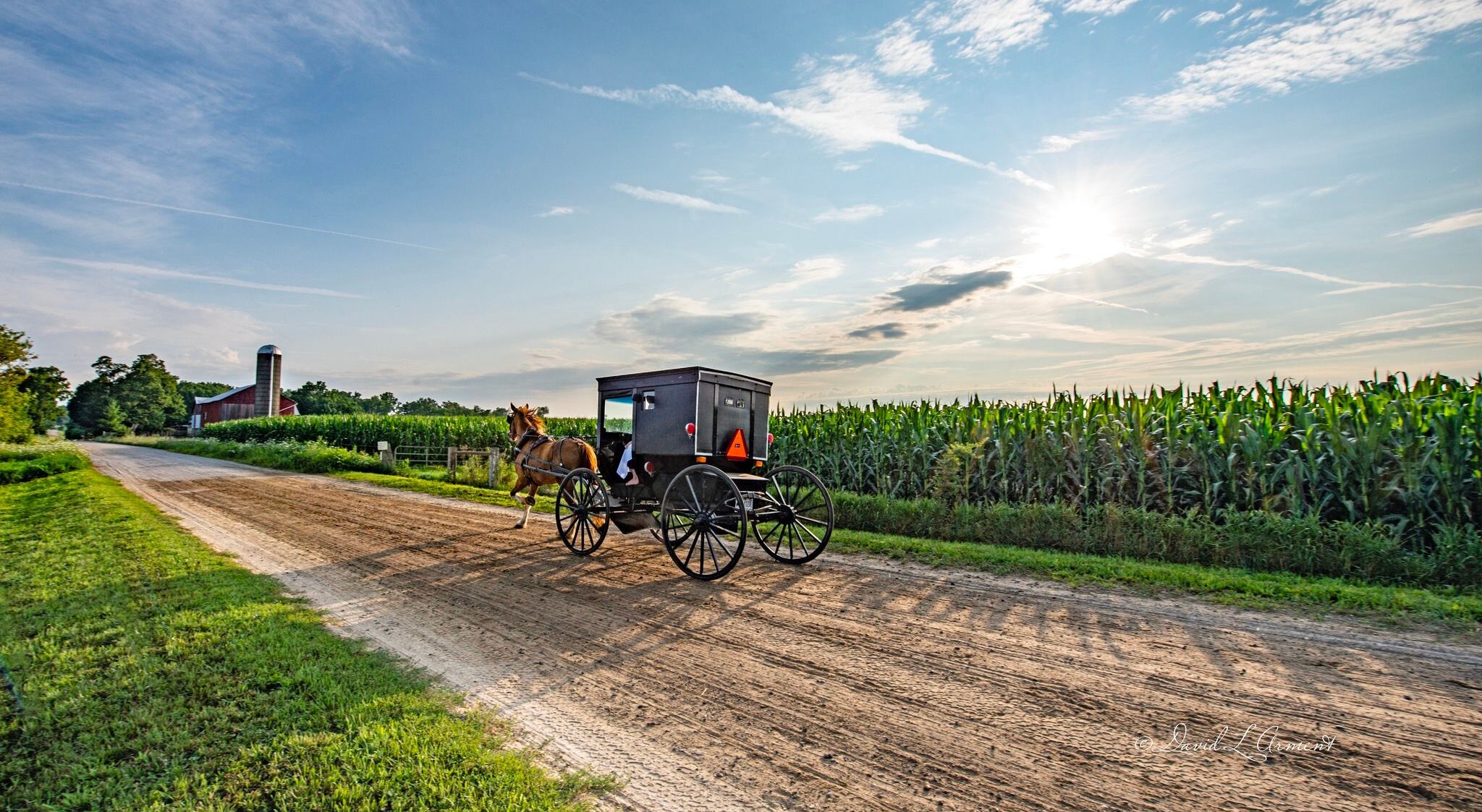 Shipshewana Amish Buggy
