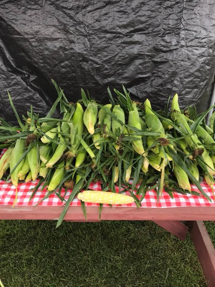 Dickerson's Sweet Corn 2