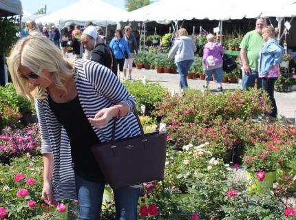 Flea Market Farmers Market 5