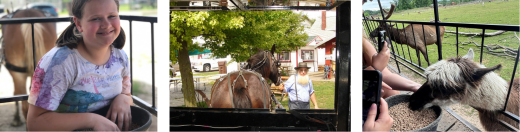 Cute little girl with bunny rabbit, buggy ride and Dutch Creek