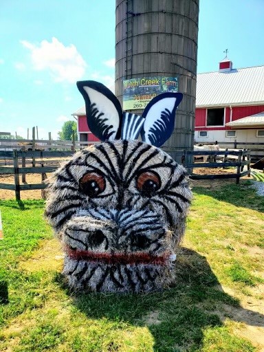 Dutch Creek Animal Park Zebra