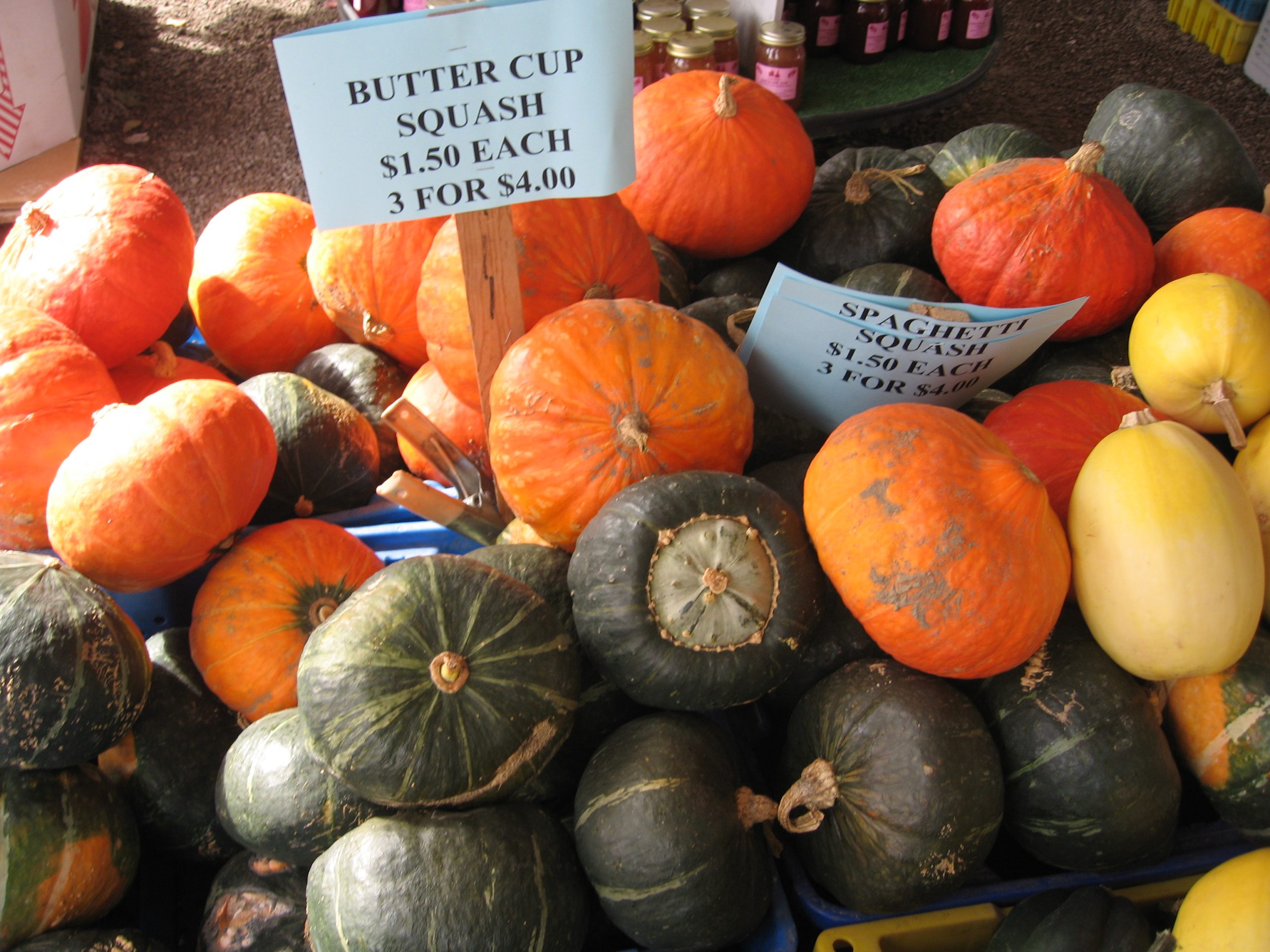 gourd-geous Sips & Succulents 9-24 & 9-25-24