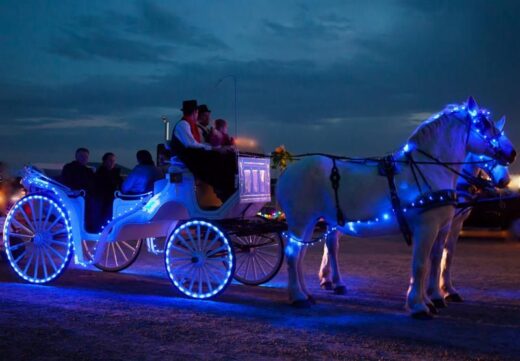 Lighted Carriage Ride