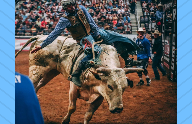 PBR Bull Fest Nov 7-8, 2025