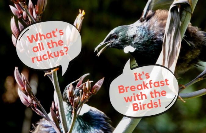 Breakfast with the Birds Maplewood Nature Center 4-16-25