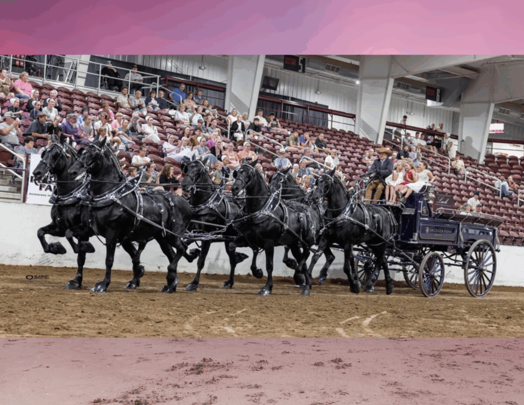Midwest Draft Horse Classic Show & Pull June 19-20, 2026