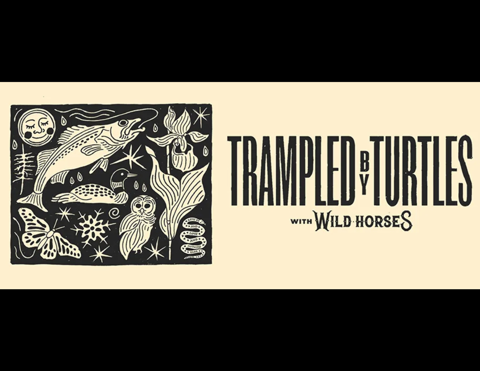 Trampled Trampled by Turtles w-Wild Horses 3-26-26