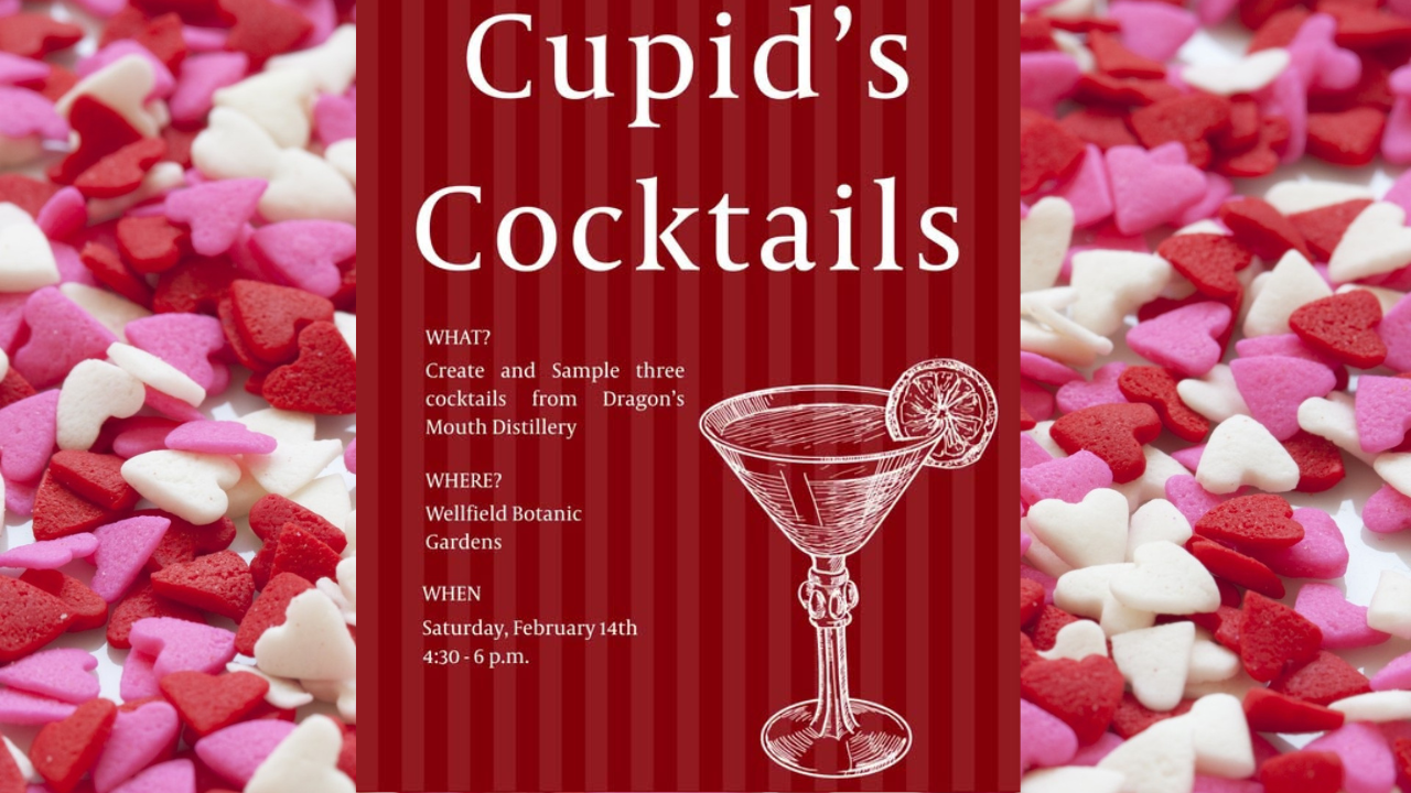 Cupids Cocktails February 14th 4:30 to 6pm